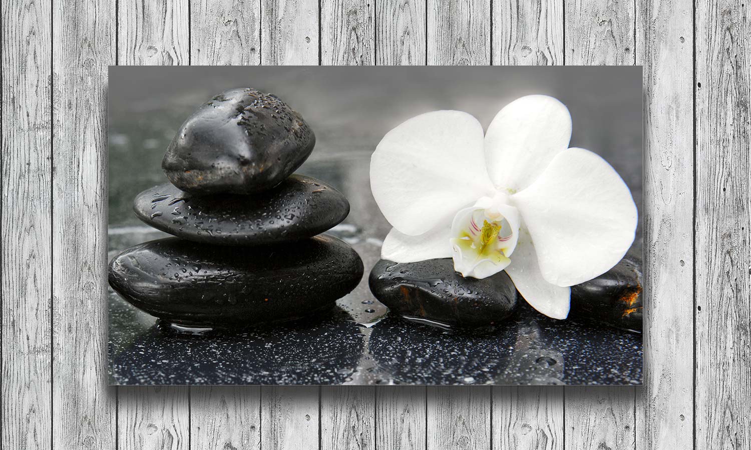 Slika za na steno White orchid and black stones - AP136-Life-decor.si