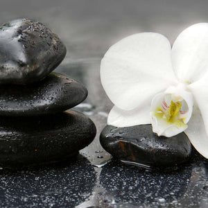Slika za na steno White orchid and black stones - AP136-Life-decor.si