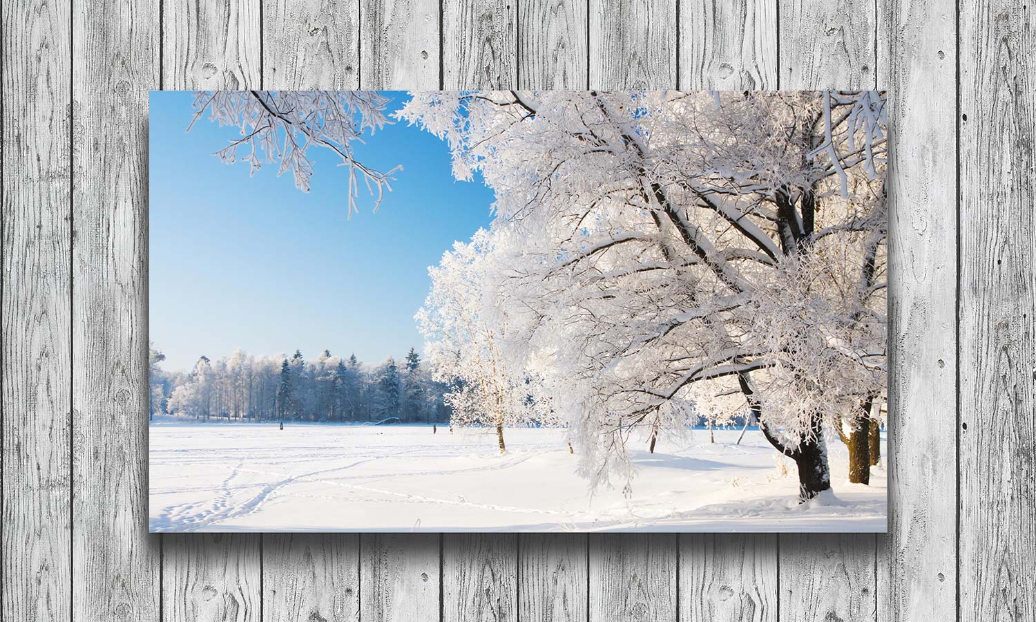 Slika za na steno Winter park in snow - AP166-Life-decor.si