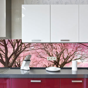 Stakla za kuhinje Cherry blossom trees Alley - PVC plošče / Pleksi steklo - s tiskom za kuhinjo, Zidne obloge PKU295-Life-decor.si