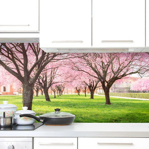 Stakla za kuhinje Cherry blossom trees Alley - PVC plošče / Pleksi steklo - s tiskom za kuhinjo, Zidne obloge PKU295-Life-decor.si