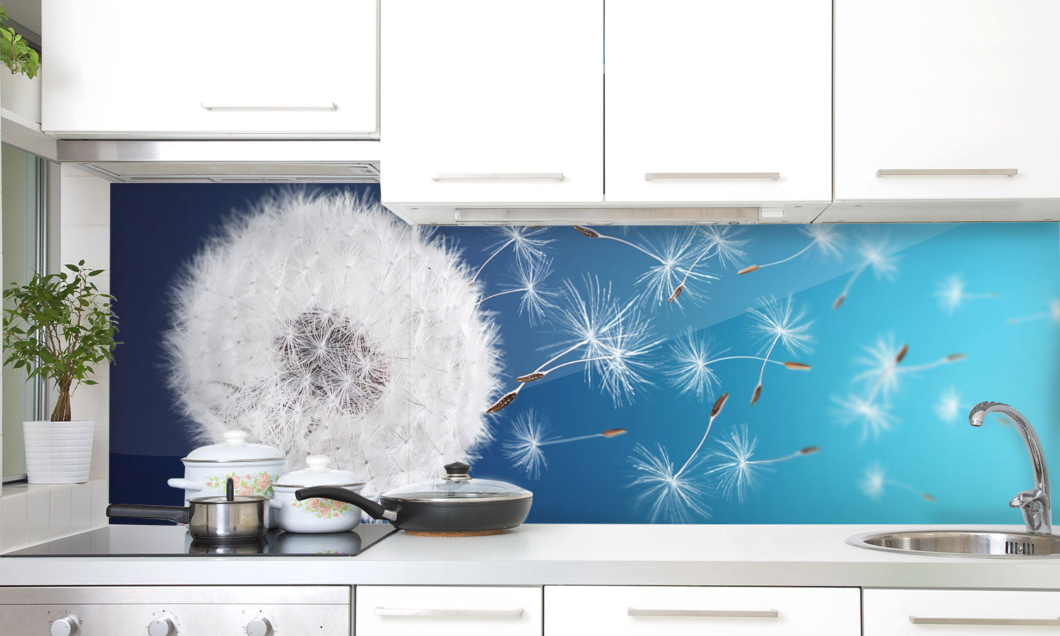 Stakla za kuhinje Dandelion field - PVC plošče / Pleksi steklo - s tiskom za kuhinjo, Zidne obloge PKU279-Life-decor.si