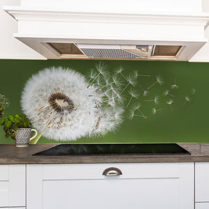 Stakla za kuhinje Dandelion seed - PVC plošče / Pleksi steklo - s tiskom za kuhinjo, Zidne obloge PKU280-Life-decor.si