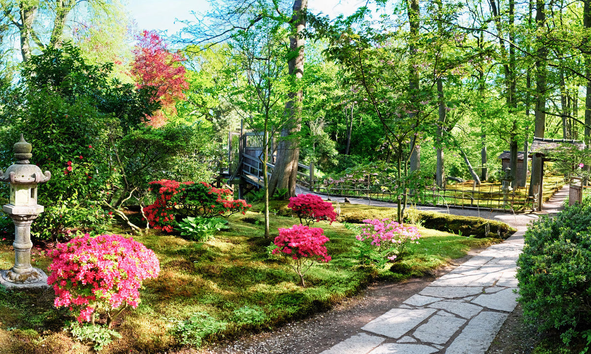 Stakla za kuhinje Nature background panorama - PVC plošče / Pleksi steklo - s tiskom za kuhinjo, Zidne obloge PKU296-Life-decor.si