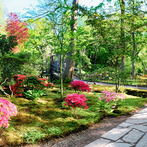 Stakla za kuhinje Nature background panorama - PVC plošče / Pleksi steklo - s tiskom za kuhinjo, Zidne obloge PKU296-Life-decor.si