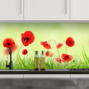 Stakla za kuhinje Poppy meadow - PVC plošče / Pleksi steklo - s tiskom za kuhinjo, Zidne obloge PKU300-Life-decor.si