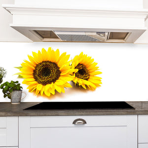 Stakla za kuhinje Sunflowers on the white background - PVC plošče / Pleksi steklo - s tiskom za kuhinjo, Zidne obloge PKU292-Life-decor.si