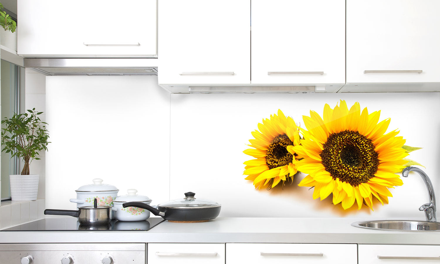 Stakla za kuhinje Sunflowers on the white background - PVC plošče / Pleksi steklo - s tiskom za kuhinjo, Zidne obloge PKU292-Life-decor.si