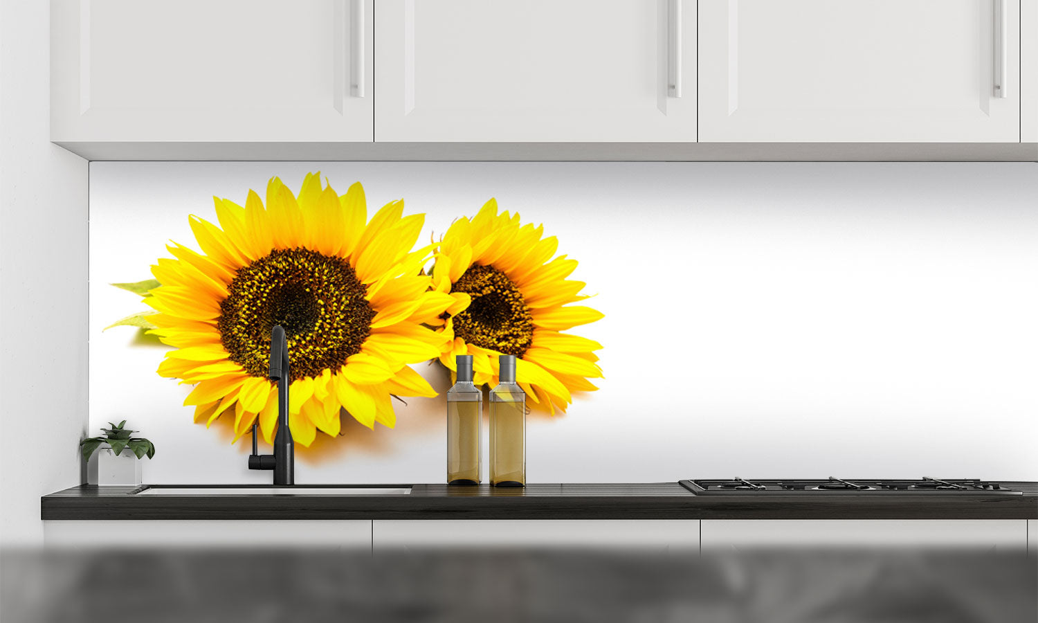 Stakla za kuhinje Sunflowers on the white background - PVC plošče / Pleksi steklo - s tiskom za kuhinjo, Zidne obloge PKU292-Life-decor.si