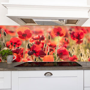 Stakla za kuhinje Tuscan red poppies - PVC plošče / Pleksi steklo - s tiskom za kuhinjo, Zidne obloge PKU299-Life-decor.si