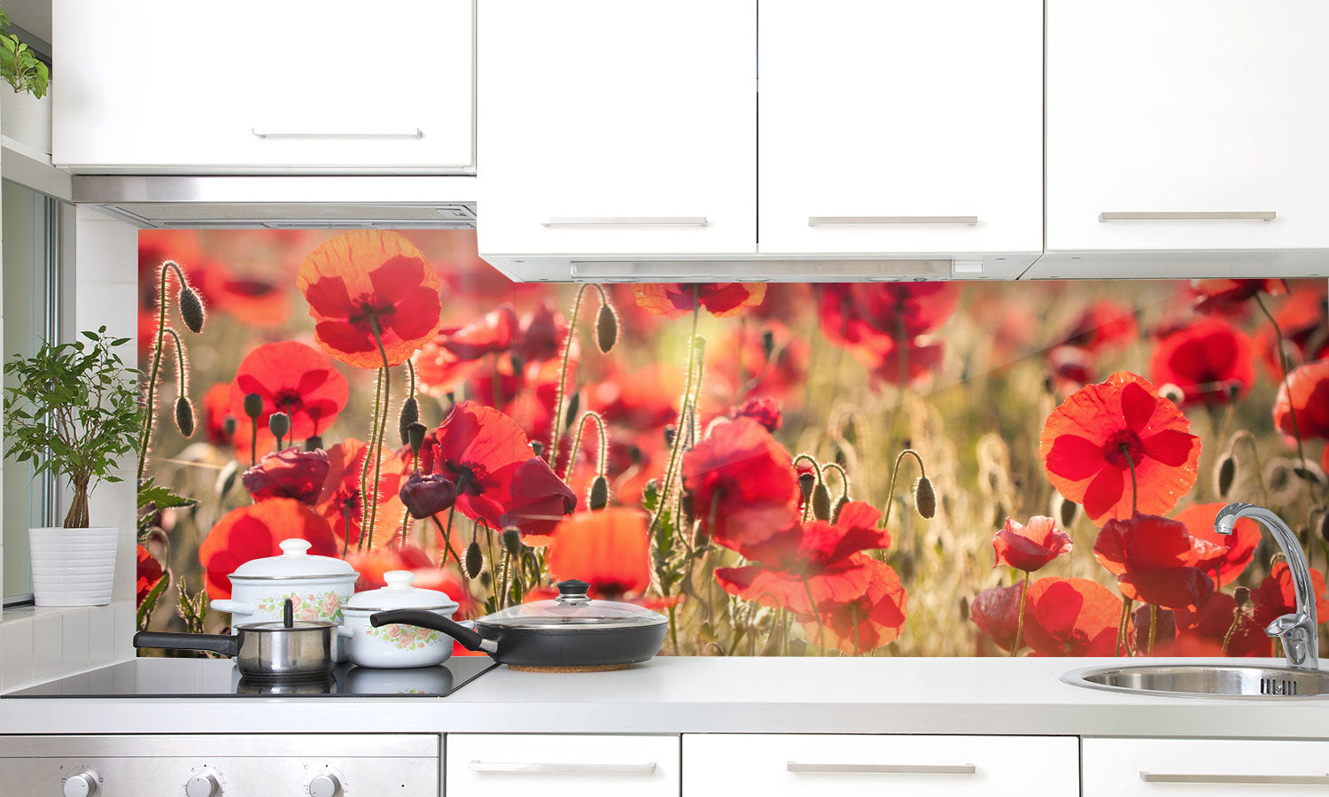 Stakla za kuhinje Tuscan red poppies - PVC plošče / Pleksi steklo - s tiskom za kuhinjo, Zidne obloge PKU299-Life-decor.si