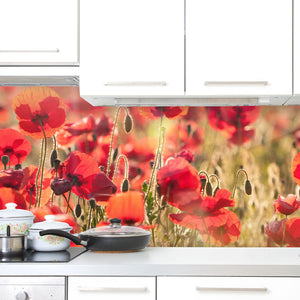 Stakla za kuhinje Tuscan red poppies - PVC plošče / Pleksi steklo - s tiskom za kuhinjo, Zidne obloge PKU299-Life-decor.si