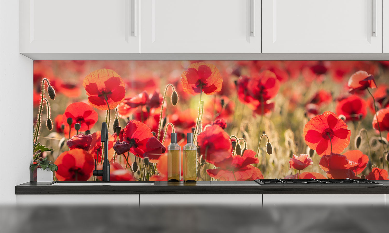 Stakla za kuhinje Tuscan red poppies - PVC plošče / Pleksi steklo - s tiskom za kuhinjo, Zidne obloge PKU299-Life-decor.si