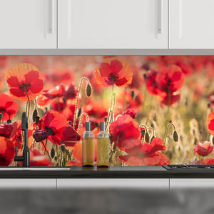 Stakla za kuhinje Tuscan red poppies - PVC plošče / Pleksi steklo - s tiskom za kuhinjo, Zidne obloge PKU299-Life-decor.si