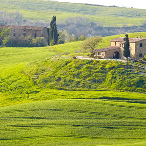 Stakla za kuhinje Tuscany landscape - PVC plošče / Pleksi steklo - s tiskom za kuhinjo, Zidne obloge PKU307-Life-decor.si