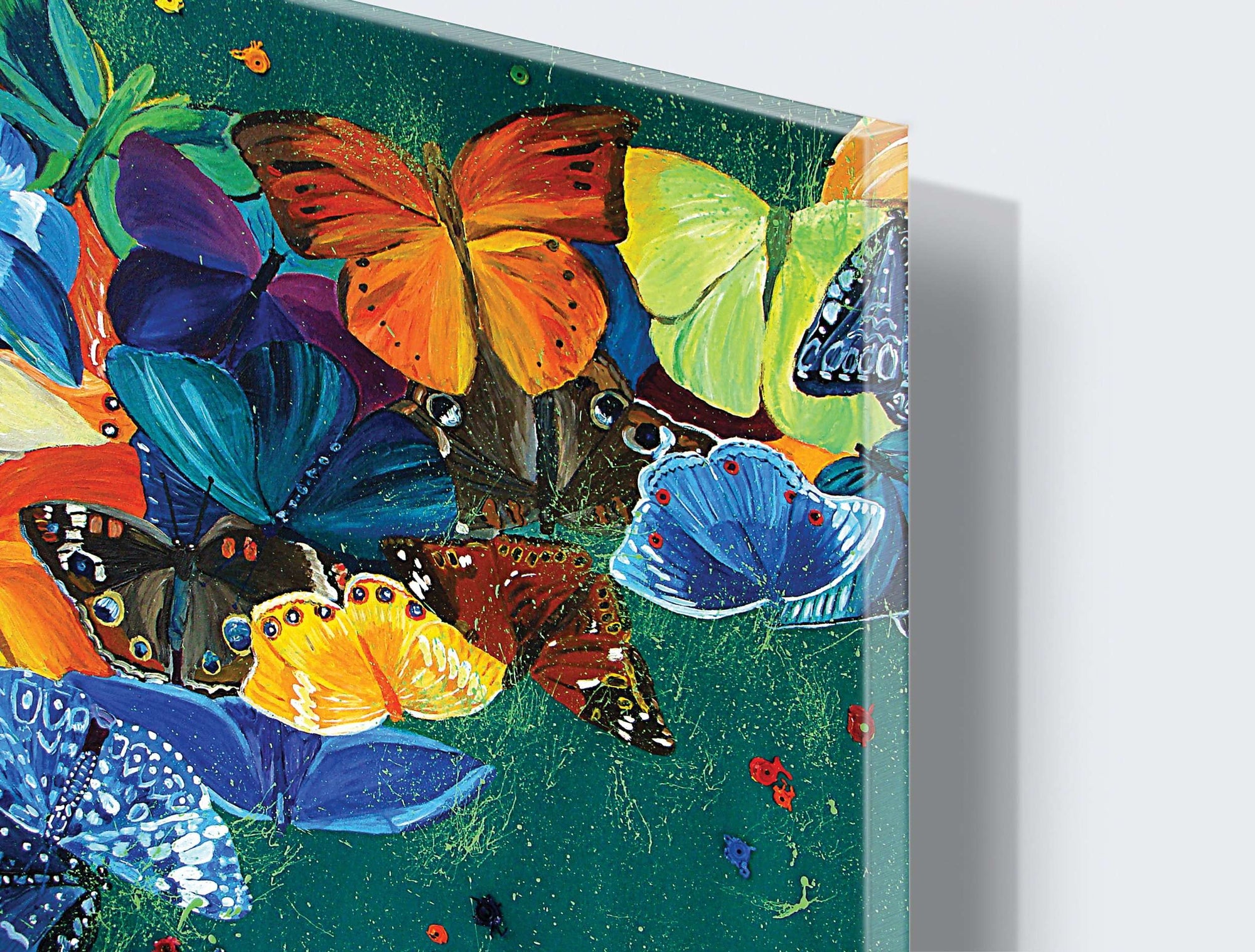 Stenske poslikave colorful butterfly - AP046-Life-decor.si