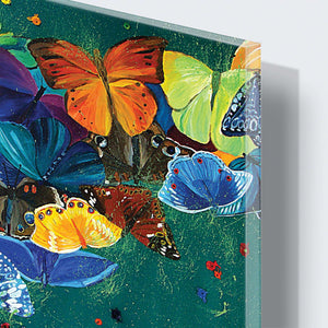Stenske poslikave colorful butterfly - AP046-Life-decor.si