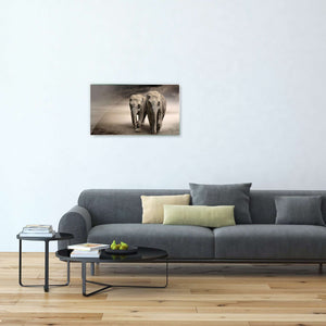 Stenske poslikave elephants - AP081-Life-decor.si