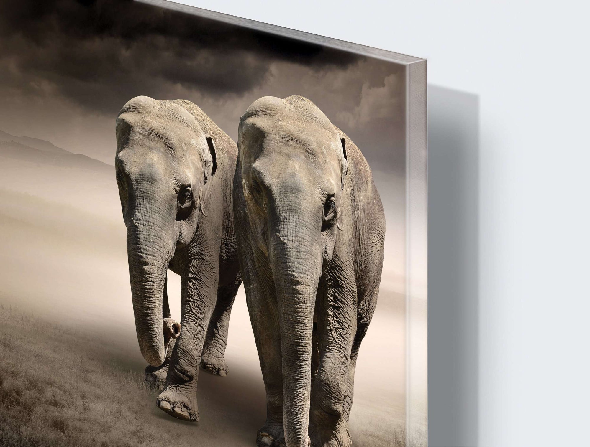 Stenske poslikave elephants - AP081-Life-decor.si