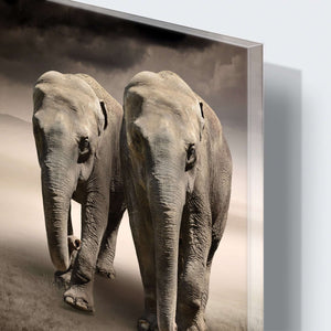 Stenske poslikave elephants - AP081-Life-decor.si