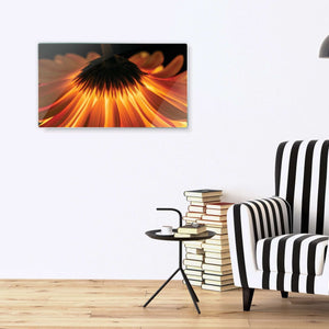 Stenske poslikave fire flover - AP066-Life-decor.si