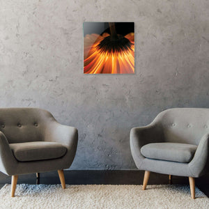 Stenske poslikave fire flover - AP066-Life-decor.si