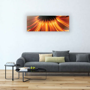 Stenske poslikave fire flover - AP066-Life-decor.si