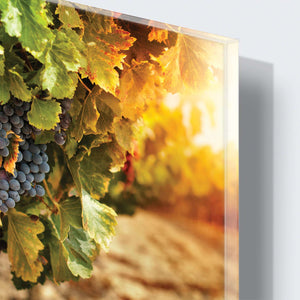 Stenske poslikave Grapes - AP037-Life-decor.si