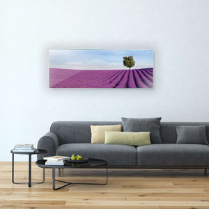 Stenske poslikave Lavanda field - AP053-Life-decor.si