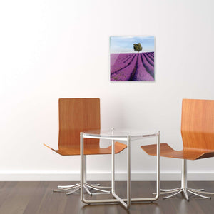 Stenske poslikave Lavanda field - AP053-Life-decor.si