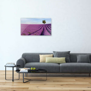 Stenske poslikave Lavanda field - AP053-Life-decor.si