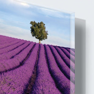 Stenske poslikave Lavanda field - AP053-Life-decor.si