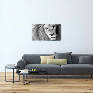 Stenske poslikave Lion - AP035-Life-decor.si