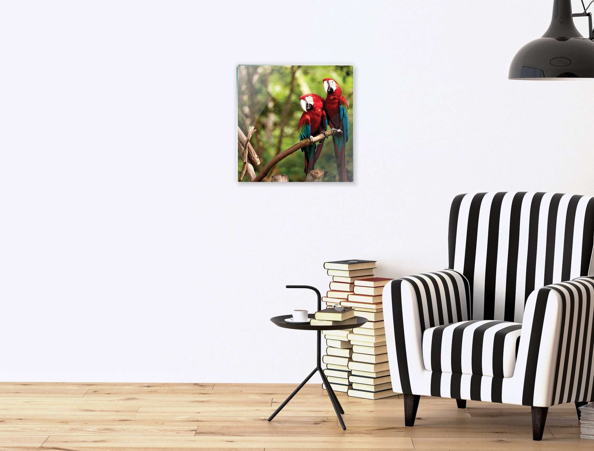 Stenske poslikave parrots - AP082-Life-decor.si