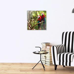 Stenske poslikave parrots - AP082-Life-decor.si