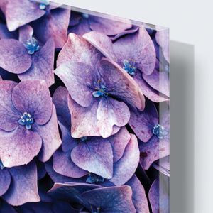 Stenske poslikave purple flowers - AP048-Life-decor.si