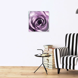 Stenske poslikave rose - AP079-Life-decor.si