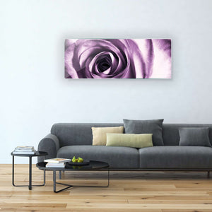 Stenske poslikave rose - AP079-Life-decor.si