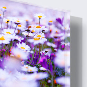 Stenske poslikave Spring flowers - AP088-Life-decor.si