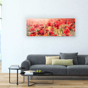 Stenske poslikave Tuscan red poppies - AP089-Life-decor.si