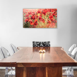 Stenske poslikave Tuscan red poppies - AP089-Life-decor.si