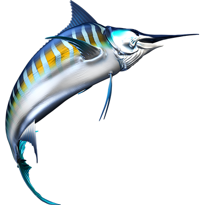 Striped Marlin nalepke, samolepilne - AUR104-Life-decor.si