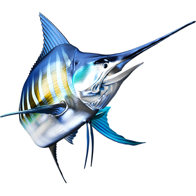 Striped Marlin nalepke, samolepilne - AUR104-Life-decor.si
