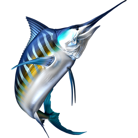 Striped Marlin nalepke, samolepilne - AUR104-Life-decor.si