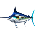 Striped Marlin nalepke, samolepilne - AUR104-Life-decor.si