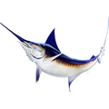 Swordfish 2 nalepke, samolepilne - AUR107-Life-decor.si