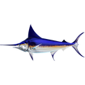 Swordfish 2 nalepke, samolepilne - AUR107-Life-decor.si