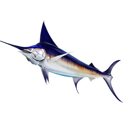 Swordfish 2 nalepke, samolepilne - AUR107-Life-decor.si