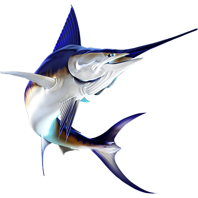 Swordfish 2 nalepke, samolepilne - AUR107-Life-decor.si