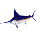 Swordfish 2 nalepke, samolepilne - AUR107-Life-decor.si
